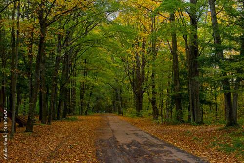 autumn road, potawatomi s.p., wisconsin