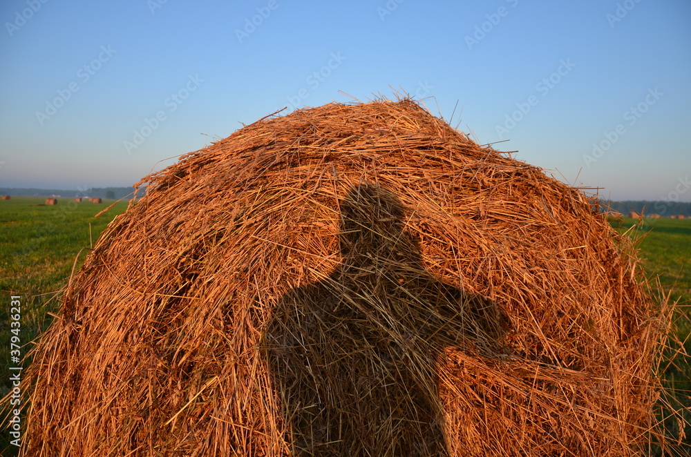 Haystacks rolls of hay in the Moscow region Haystacks rolls of hay in the Moscow region