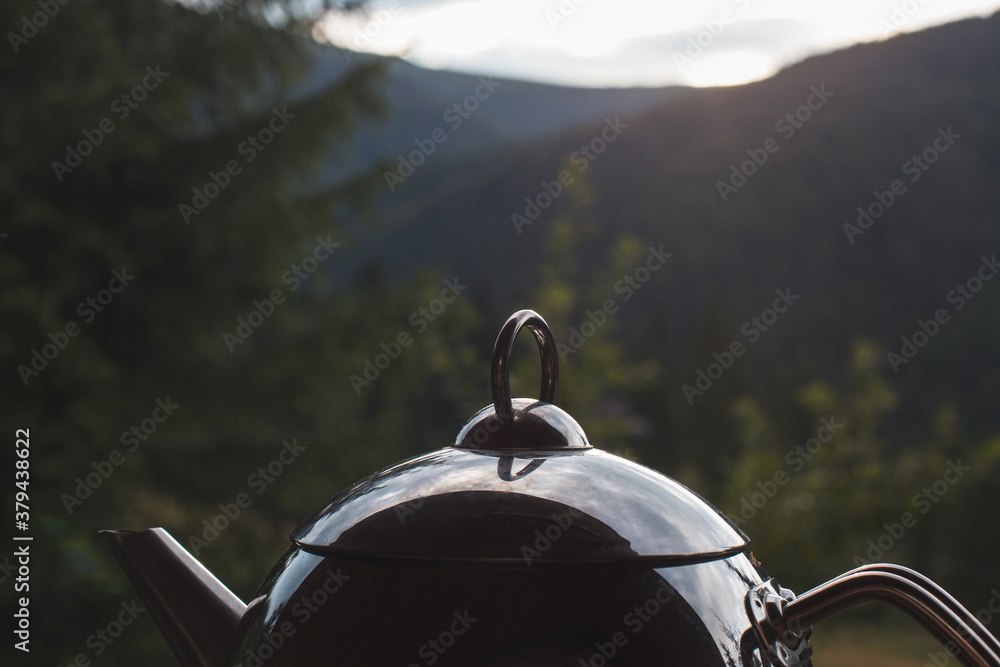 metal teapot on nature background