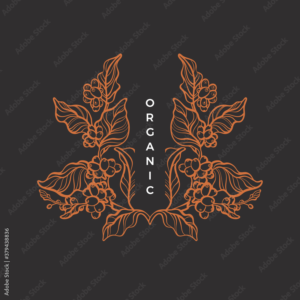 Nature pattern Vector coffee tree Art line symbol Stock Vector | Adobe ...