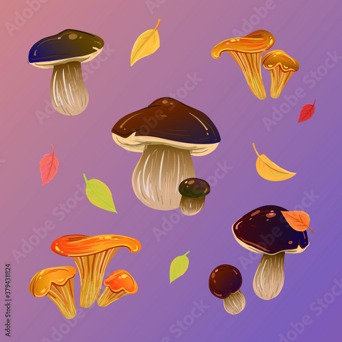 mushrooms, seamless pattern, edible mushrooms, grassed mushroom, porcini mushroom, mushroom with brown hat, autumn leaves.