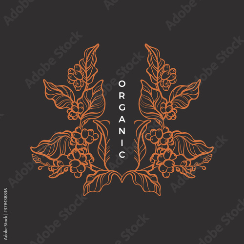 Nature pattern Vector coffee tree Art line symbol