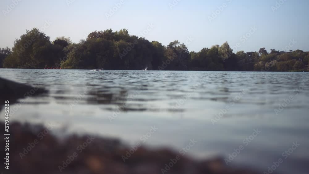 Open water swimming in a lake on sunny day in lake, wide shot, multiple swimmers in distance Open water swimming in a lake on sunny day in lake, wide shot, multiple swimmers in distance