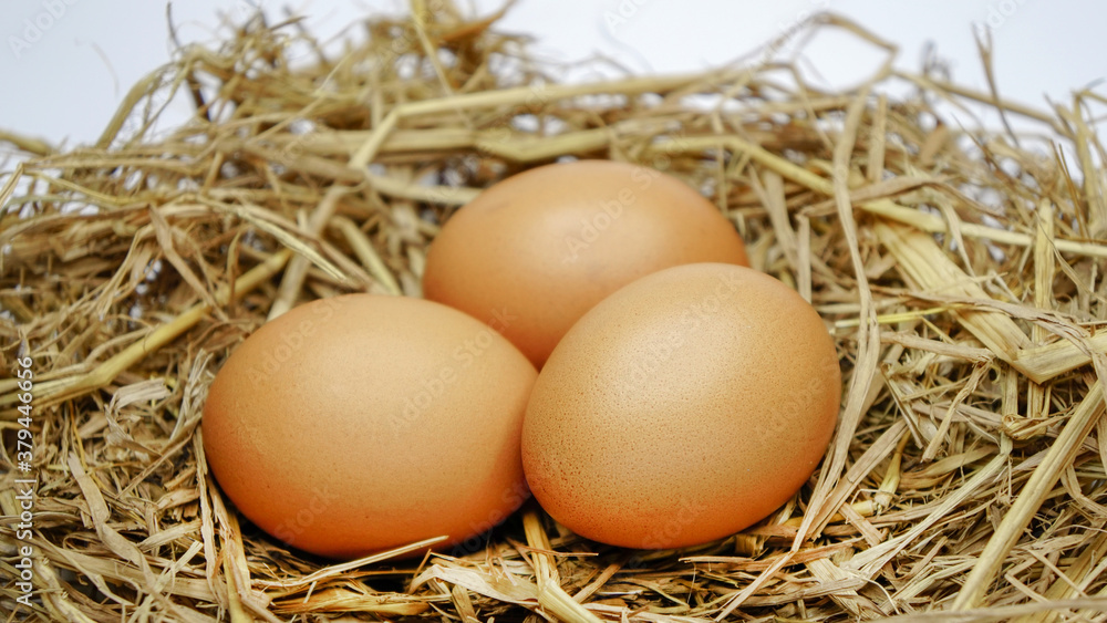 Eggs in hay Eggs in hay