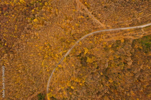 Aerial view of autumn fores...