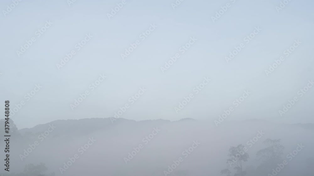 Relax bright morning and ease your eyes, Mist and clouds covered the morning mountains on the Narathiwat mountain, Thailand time lapse 4k. Relax bright morning and ease your eyes, Mist and clouds covered the morning mountains on the Narathiwat mountain, Thailand time lapse 4k.