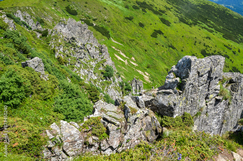 Sharp rocks with big rocky boulders on summer mountain slope of Spitz (Spytsi) mountain. Chornohora ridge, Carpathian mountains, Ukraine. © Dmytro