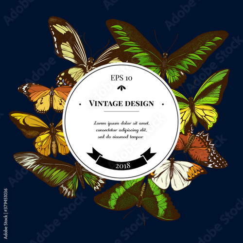 Badge over design with red lacewing, wallace s golden birdwing, great orange-tip, emerald swallowtail, plain tiger, rajah brooke s birdwing, papilio torquatus, swallowtail butterfly