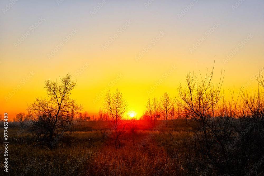  Bright orange sunset on the background of cloudy sky and forest.