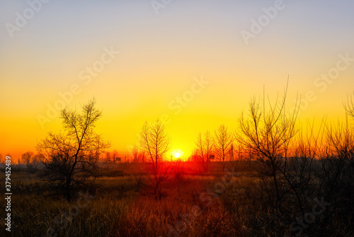  Bright orange sunset on the background of cloudy sky and forest.