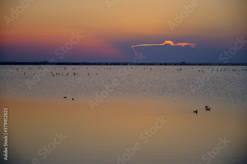 Wonderfull colors of the sunset in the saline, Puglia Italy