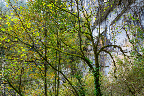 The Škocjan Caves, Green Karst, Slovenia, Europe © JUAN CARLOS MUNOZ