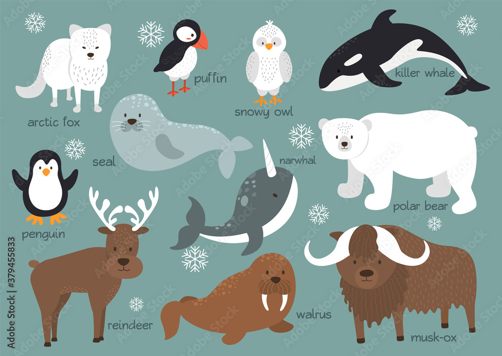 Arctic animals background set Arctic animals background set