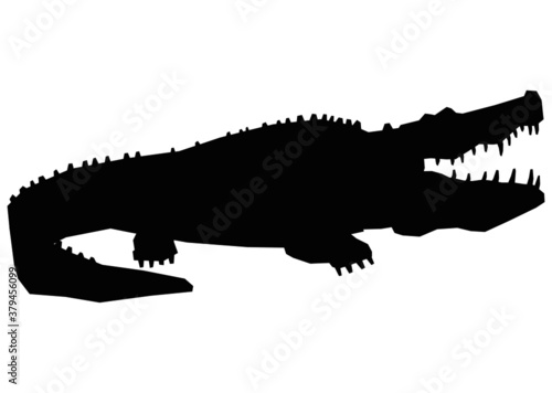 crocodile   vector  icon