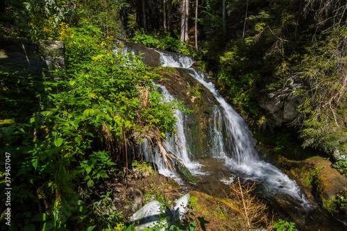 Fototapeta Naklejka Na Ścianę i Meble -  waterfall with plants in a forest