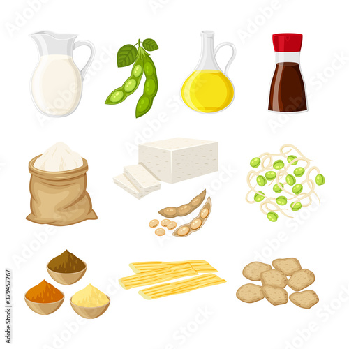 Set of different soy product in a flat cartoon style milk, oil, soy sauce, flour, tofu, miso, meat, tofu skin, sprouts vector illustration isolated on white background.