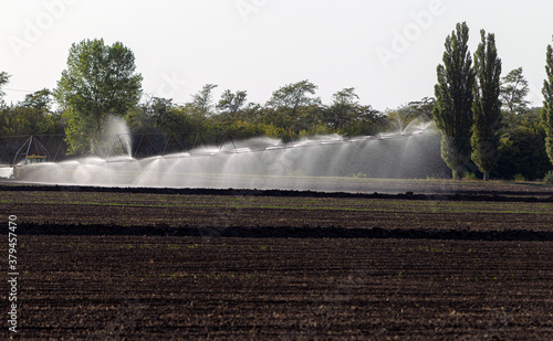 The system of automatic agricultural irrigation, irrigation of the field in the arid zone of agriculture. A long line of sprinklers irrigates the seed field. Agro-industrial, dryland agriculture
