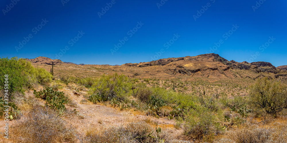 Apache Trail Scenic Drive View