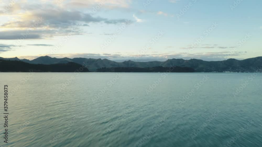 Drone shot of geese in bay as sun sets Drone shot of geese in bay as sun sets
