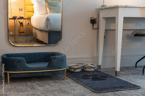 Pet-Friendly Hotels Your Dog