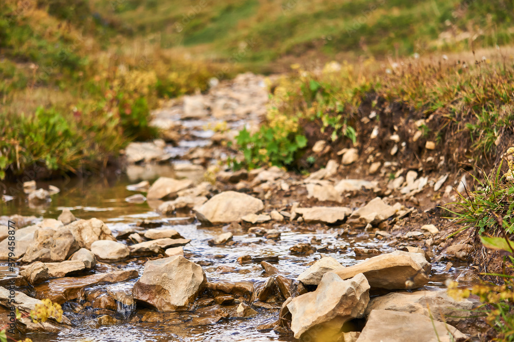 small rocky stream among the grass close-up small rocky stream among the grass close-up