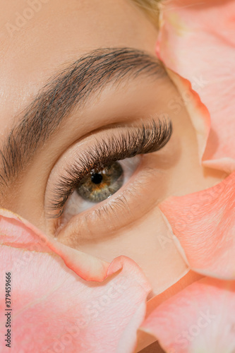 Photography Close up of woman green eye eyelashes extension in flower petals
