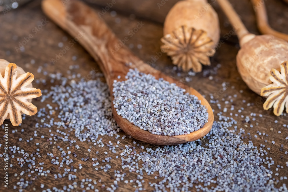 Poppy seeds on a spoon with poppy pods Poppy seeds on a spoon with poppy pods