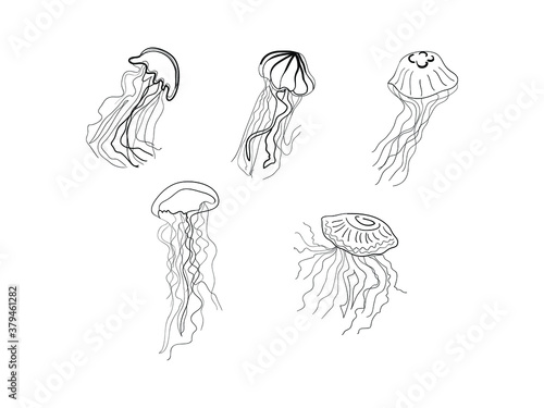 Set of hand drawn jellyfish isolated on white. Vector outline illustration. Design for card, print, title, pattern, postcard, poster, banner and etc.