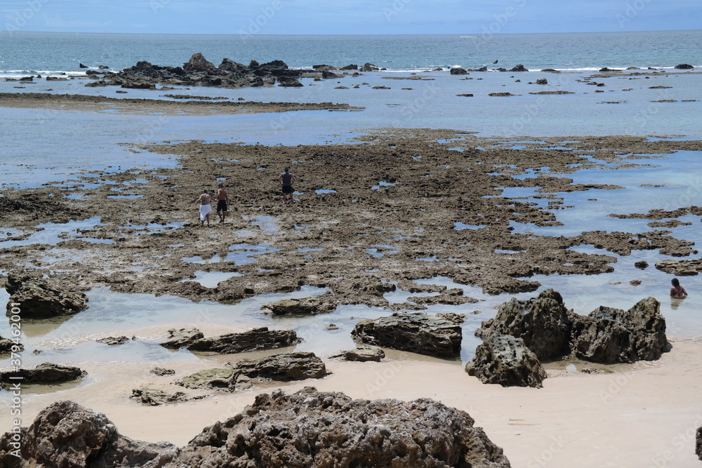 Fototapeta premium SAMSUNG CSC