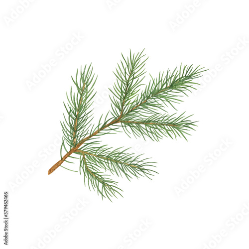Fir tree branch isolated watercolor illustration simple hand drawn festive mood pattern for greeting card, banner, winter holiday celebration design