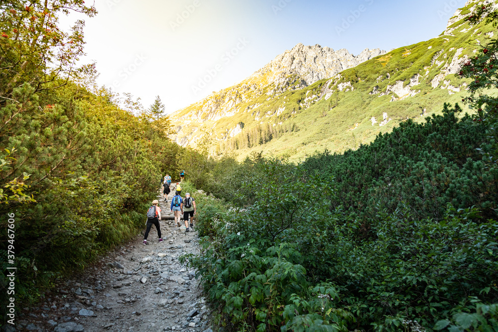 People hiking on the trail in the mountains