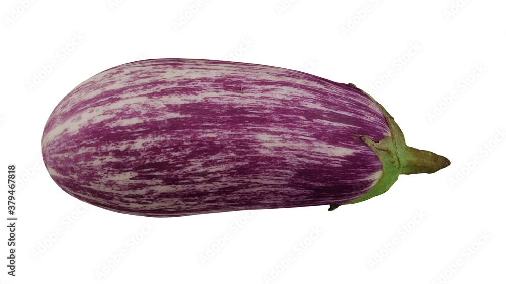 Realistic render of a rotating Graffiti Eggplant on white background. The video is seamlessly looping, and the model is 3D scanned from a real eggplant.
Realistic render of a rotating Graffiti Eggplant on white background. The video is seamlessly looping, and the model is 3D scanned from a real eggplant.