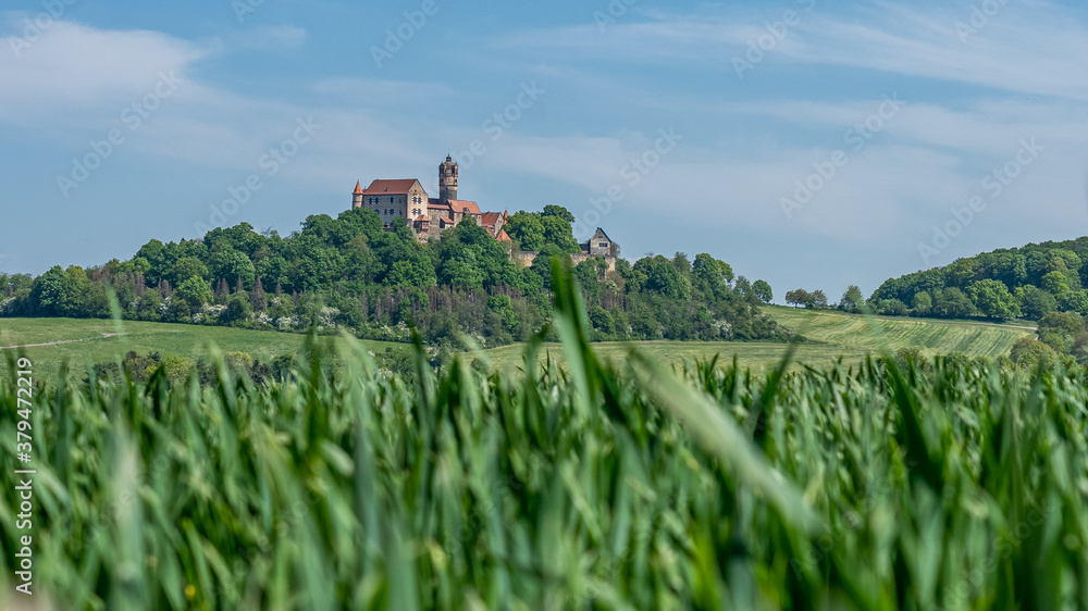 view on ronneburg castle in hesse, germany with green foreground during summertime view on ronneburg castle in hesse, germany with green foreground during summertime