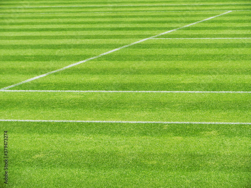Green natural grass tennis court