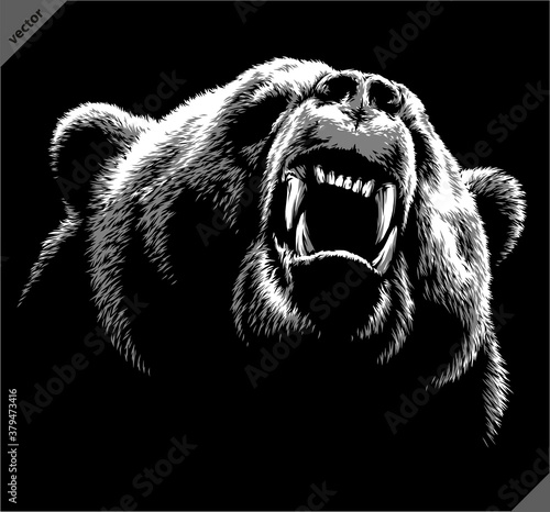 black and white linear draw bear vector illustration