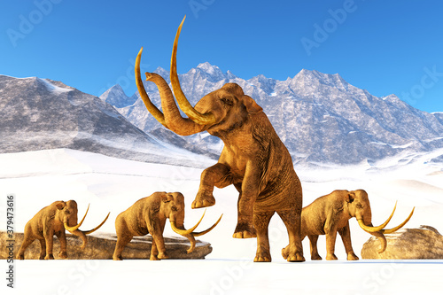 Columbian Mammoth - A herd of Columbian Mammoths navigate their way through a mountain range to get to a warmer climate.