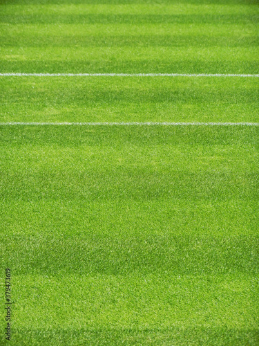 Green grass tennis court detail