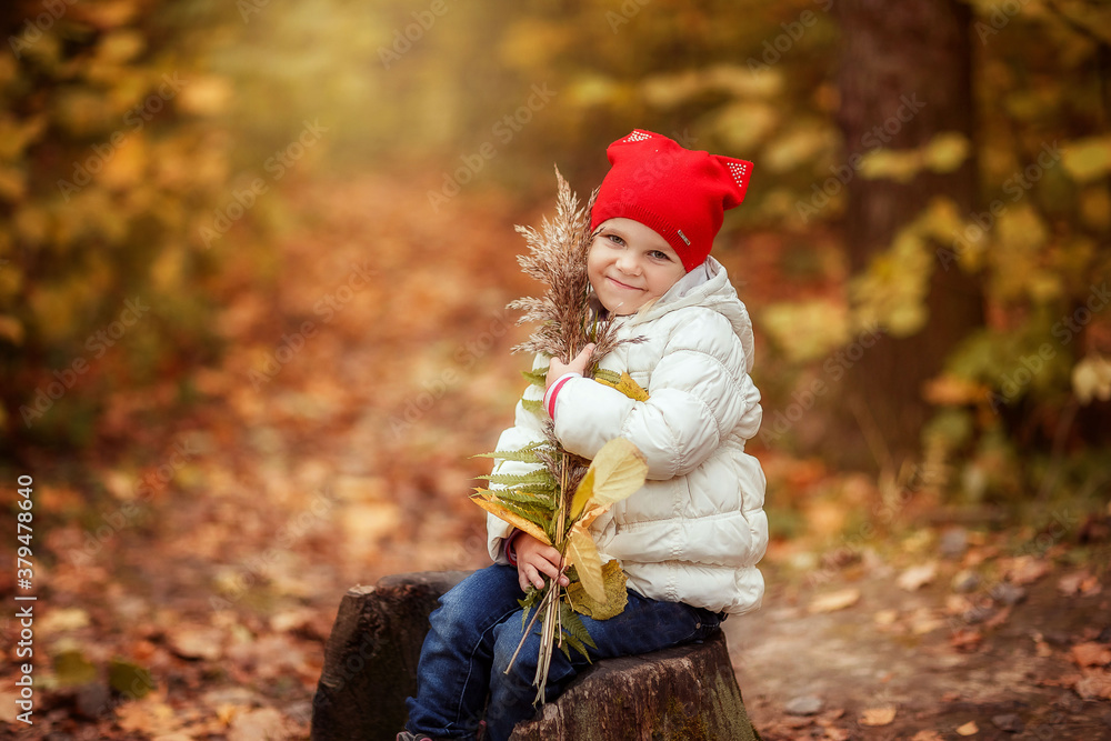 girl walks in the Park in autumn, October, yellow leaves, autumn forest girl walks in the Park in autumn, October, yellow leaves, autumn forest