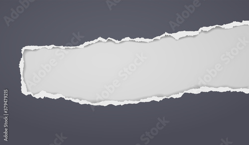 Wallpaper Mural Piece of torn, ripped black paper with soft shadow is on white background for text. Vector illustration Torontodigital.ca