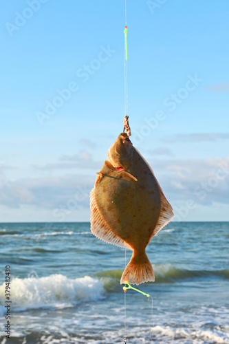 Fish - flounder  caught by a fishing rod  hanging on a fishing line against the background of sea waves and the sky