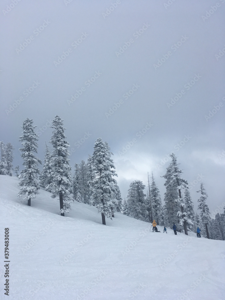 Moody winter landscape scene at a ski resort after a big storm, with deep powder and snow covered trees on a grey and cloudy day