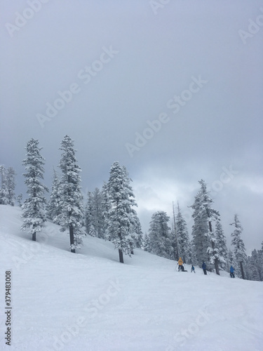 Moody winter landscape scene at a ski resort after a big storm, with deep powder and snow covered trees on a grey and cloudy day © Jen
