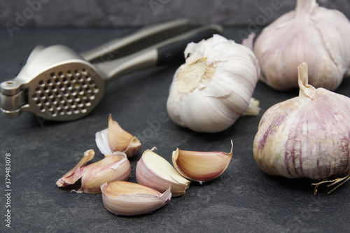 Organic garlic. Fresh garlic cloves and garlic bulb on a black background. Garlic for healthy eating. Concept of spices for healthy cooking. Closeup