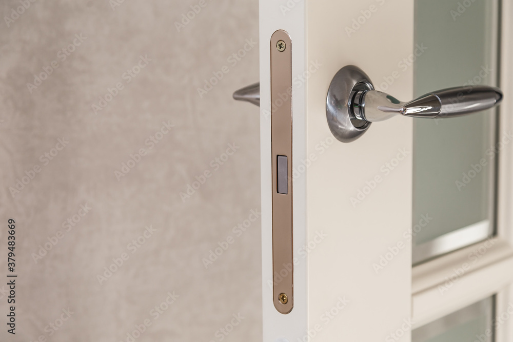 Wooden door with contemporary magnetic latch on modern interior.