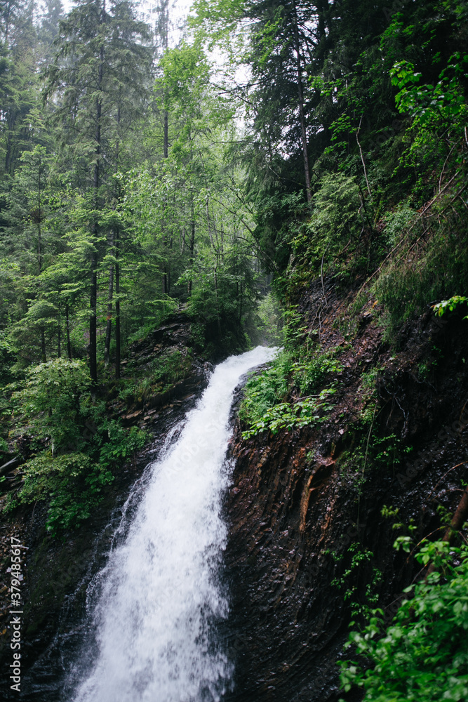 Mountain waterall and river in the forst moody green atmosphere with cold water rainy day Mountain waterall and river in the forst moody green atmosphere with cold water rainy day