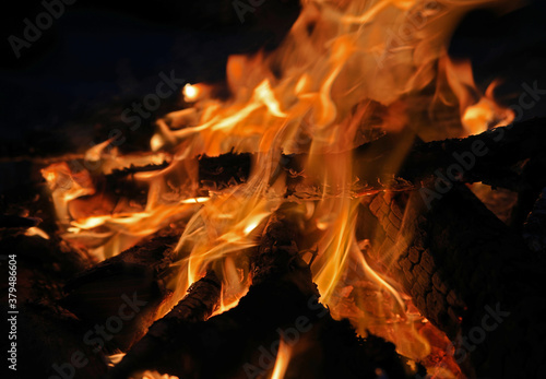 Burning bonfire in the night