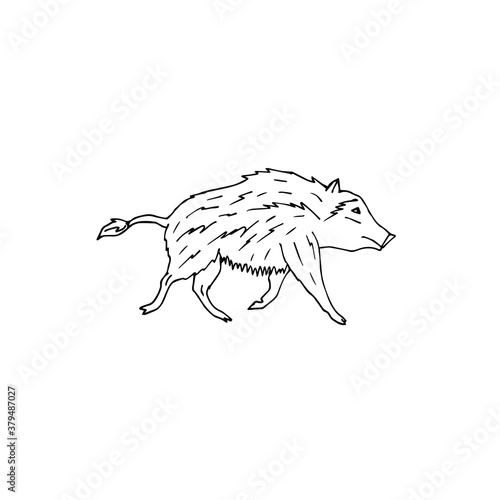 Vector hand drawn doodle sketch wild boar isolated on white background