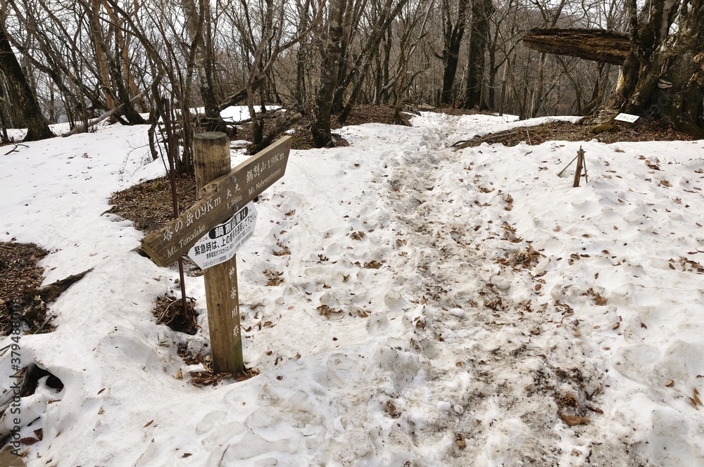 丹沢山の道 雪の大丸 丹沢山の道 雪の大丸
