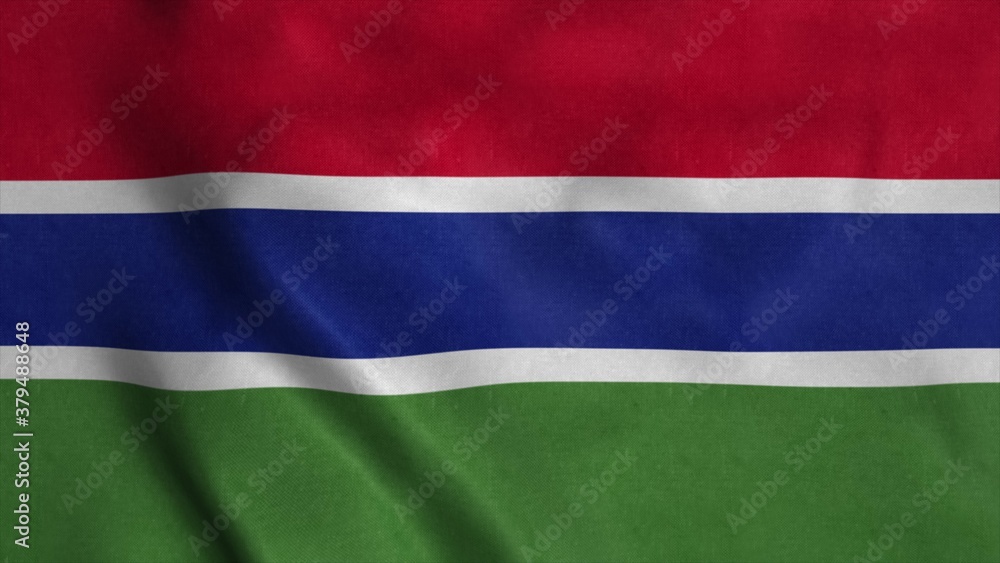 Gambia waving flag with cloth texture. 3d rendering Gambia waving flag with cloth texture. 3d rendering