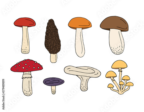 Vector set bundle of colored hand drawn doodle sketch mushroom isolated on white background